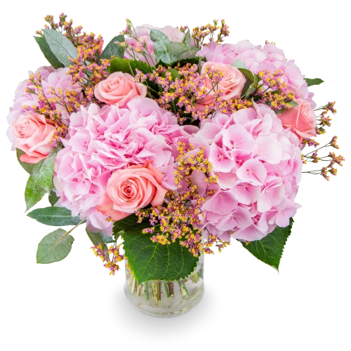 Bouquet of hydrangea